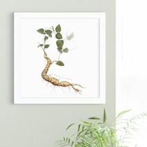 꾸밈 iu023-한약재의종류전통약초인테리어액자(대) 액자, 화이트-5-하수오