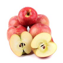 햇살농원 껍질째 먹는 충주 고당도 사과, 1box, 흠과5kg(굵기선별없음)