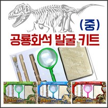 공룡 피규어 화석 발굴 체험키트, 01_공룡화석발굴키트(중)