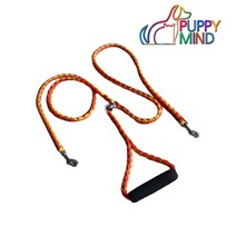 퍼피마인드 트윈 리드줄 2마리 동시사용, 1개