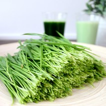 [산지직송]청정 강원도 평창 재배 생 밀싹, 1kg