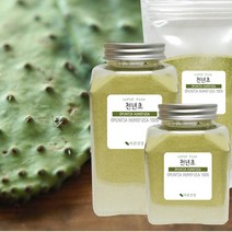 바른건강 천년초가루100% 손바닥선인장 줄기가루 천년초분말, 180g, 1개