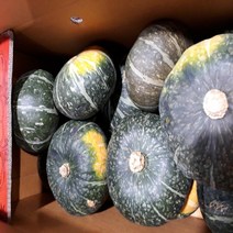 단호박1개 특가판매 국내산, 1개, 1kg내외