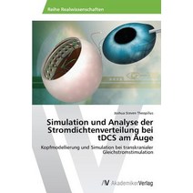 Simulation Und Analyse Der Stromdichtenverteilung Bei Tdcs Am Auge Paperback, AV Akademikerverlag