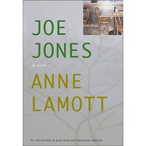 Joe Jones Paperback, Counterpoint LLC
