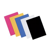 문화산업 도리미 안전한 불투명 보안 L홀더 비닐화일 (제조사 랜덤) 핑크대신 적색발송, 녹색, 10매입