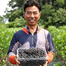 고창 아로니아 아로니아(특품) 꼭지제거 2023년수확, 2.5kg(특품), 1개