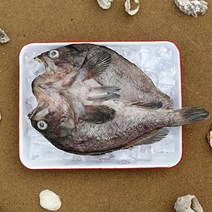 [으뜸해수산] 국내산 반건조 우럭 (손질 건조 우럭), 1개, 35cm전후(대)
