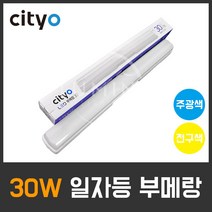 씨티오 LED 일자등 부메랑 30W 방등 거실등 형광등, 주광색
