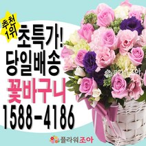플라워조아 어버이날 꽃선물 스승의날 카네이션 꽃다발 감사선물 생화꽃, 감사해요