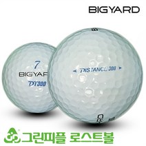 빅야드 DT 300 3피스 A+급 로스트볼 16개