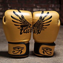페어텍스 BGV1 “Falcon” Limited Edition Gloves 팔콘 리미티드 에디션