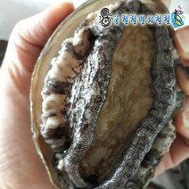 완도산 활전복, 1개, 산소포장 전복1kg대(12~13미)