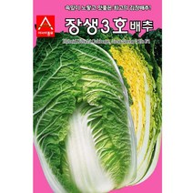 아시아종묘 배추씨앗 장생3호 (2000립)