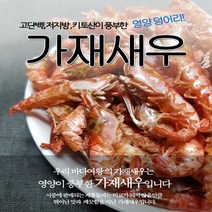 바다여왕 건새우 가재새우, 1개, 가재새우 500g