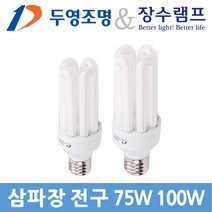 두영 장수 삼파장 EL램프 E39 100W, 주광색