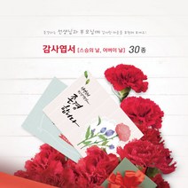 모두카피 감사엽서 스승의날 어버이날 카네이션 봉투포함 20장set TH-01, 25(20장)
