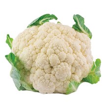 국내산 생 콜리플라워, 1팩, 국내산 콜리플라워 500g