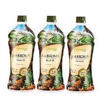 암브로시아 허브 23 (인트라) 950ml 3병 묶음 상품 (캐나다 직수입 제품)