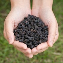 파워푸드 국산 아로니아 400g 건조 말린 약초 약재 국내산 차 한방, 12ZW_국산아로니아 200gX2