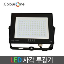 장수(컬러원) LED투광기 투광등 30W 흑색, 01 주광색