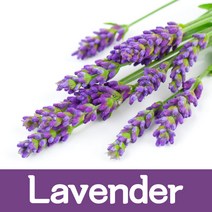 오마르 향오일 100ml 석고방향제 슬라임 향료, 라벤더