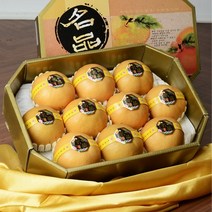 프리미엄 나주배 추석 선물세트 7.5kg (9월19일 출고시작), 02.배 선물세트7.5kg(10-12과)중대과