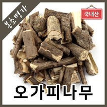 본초명가 오가피나무 오가목 오가피, 1개, 600g