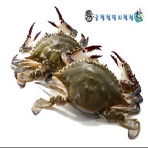 꽃게 신진도 활꽃게 2~3인분 당일조업 아침발송, 1개, 3키로 빙장포장 4인분