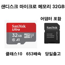 샌디스크 파나소닉루믹스DMC-ZS10카메라micro메모리카드32gb, 32GB
