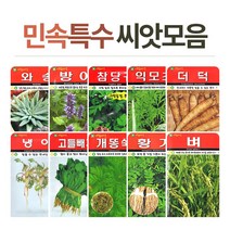 화분월드 민속 희귀 씨앗, 도라지