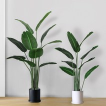 극락조 인테리어 나무(160cm)+무광 인테리어 화분(대), 축하합니다 리본 추가, 무광 인테리어화분-모카그레이(대17x18)