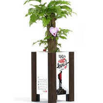 미나의정원 준중형 메세지 액자화분, 17인생은오직
