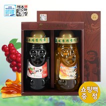 제주도 오야 선물세트 오미자 야생꿀, 2개입, 오미자차600g+한라산야생꿀600g