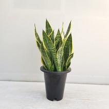 온누리농원 슈퍼바