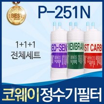 코웨이 언더싱크 P-251N 고품질 정수기 필터 호환 전체세트, 선택2_1년관리세트(2+1+1=4개)