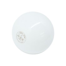 일광 백열전구 G80 60W 전구색(노란색) 불투명, 전구색
