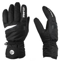 에트나로잔데 남성 스키장갑 보드장갑 DSH9600, 블랙