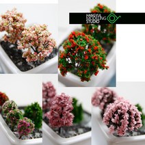 한결모형 나무모형 15종, 09. 컬러꽃나무 60mm (2pcs)