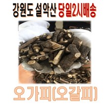 순창상회 자연산 오가피 500g 설악 오갈피, 200g, 1개