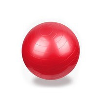 호정스토어 요가 짐볼 런웨이브 필라테스 짐볼 55, 레드