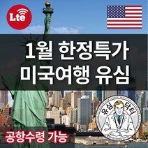 유심닥터 [방학특가]미국 하와이 유심 H2O AT&T 라이카 + 국제발신, 2. AT&T 데이터무제한 30일, 1개