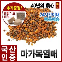 자애인 국산 마가목열매 300g 정공목열매 마가자 정공실, 단품, 1개