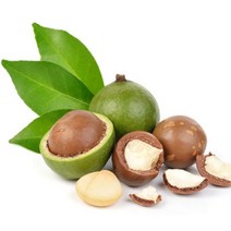 [아로마케이] 케리어오일 베이스오일 비누만들기재료, C_13 마카다미아넛오일100ml