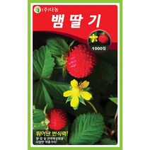 갑조네 민속특수 씨앗 모음, 뱀딸기(씨앗), 1개