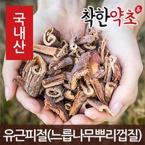 착한약초 국내산 유근피절(느릅나무뿌리껍질) 200g, 1개