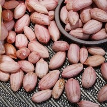 FUNET 국산 햇 생땅콩 볶음땅콩 1kg, 1팩, 볶음땅콩1kg