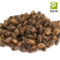 총명식품 국내산 창이자, 300g, 1개, 1개