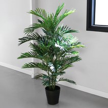 블루밍앤미 NEW 아레카야자 인테리어 조화 나무(145cm), 축하합니다 리본 추가
