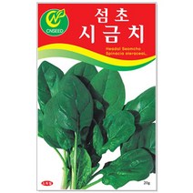 청농종묘 여주 씨앗 10립 여주씨 여주씨앗 씨 식물여주, 13_섬초시금치(20g)